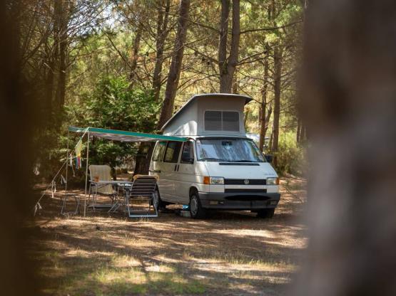 BASIC : Standplaats camper / Caravan (-5m)