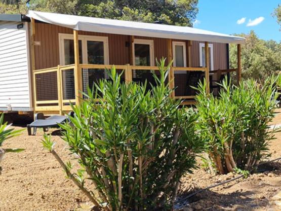 Stacaravan COTTAGE 6 - 31m²  - AZUR RANGE