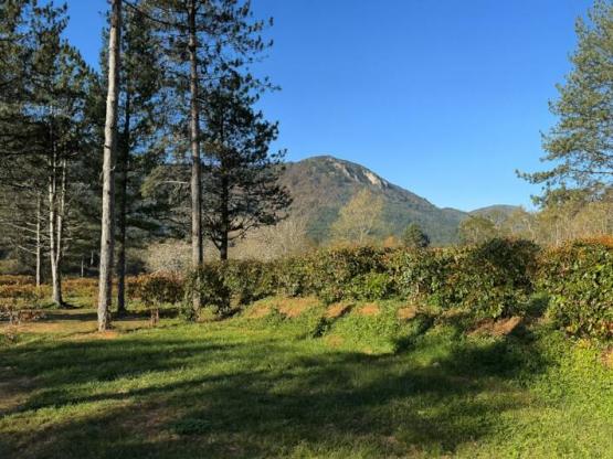 Standplaats Confort - 10A elektriciteit + water + 120m²