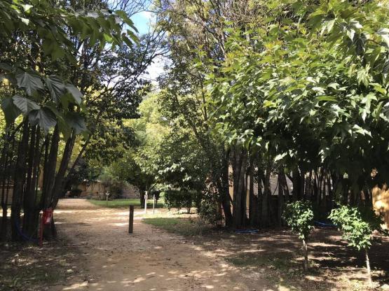 Standplaats + 1 auto + tent, caravan of camper +  elektriciteit 10A