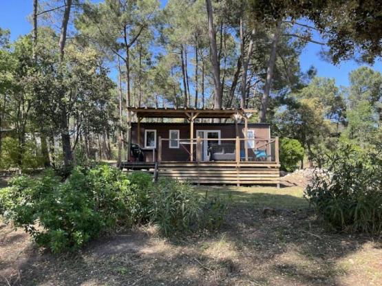 MH PREMIUM MONTMIRAIL Airco-ZICHT OP DE MONT VENTOUX-3 slaapkamers+vaatwasser+TV (4 adults+2child)