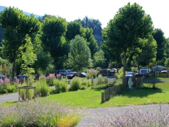 Standplaats + 1 auto + tent, caravan of camper