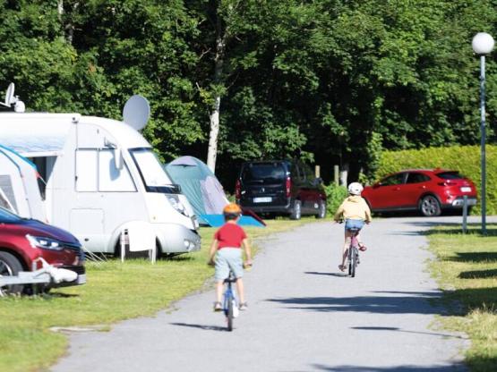 Natuurpakket (1 tent, caravan of camper / 1 auto)