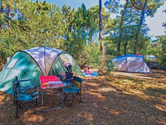 Standplaats tent (Parc La Forêt)
