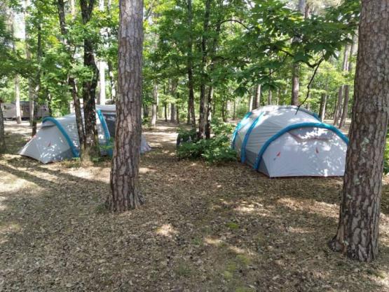 Forfait camping (standplaats + 1 voertuig)