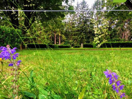 Forfait camping (standplaats, 2 personen, 1 voertuig)