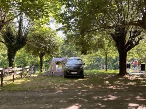 Kampeerplaats Confort met electriciteit