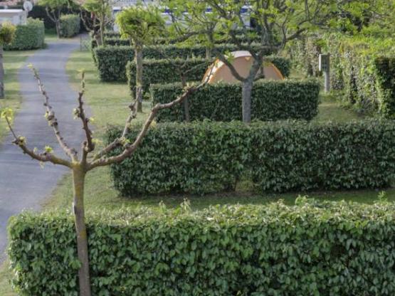 Mobil home IRM super vénus very equipped with 2 rooms, room of water, toilet and living room cooks.