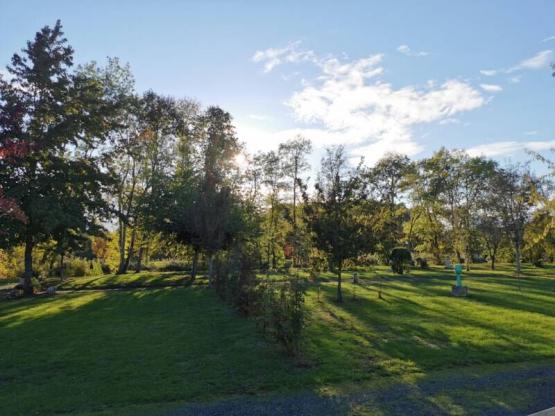 Stellplatz ohne Strom