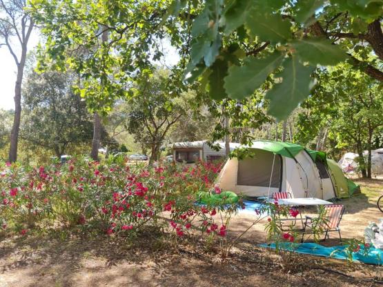 Kampeerplaats TENT CLASSIQUE met elektriciteit 6A