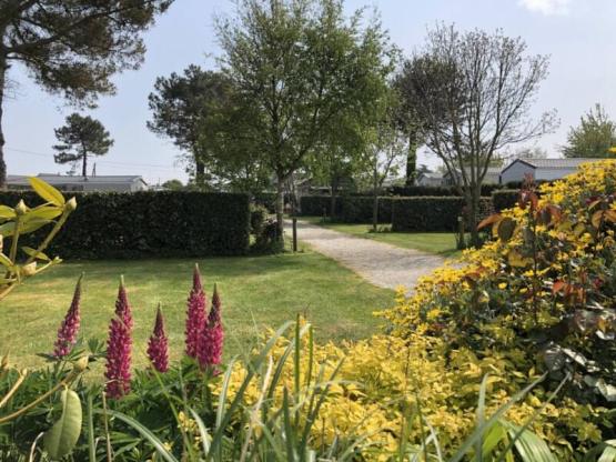 XL Kale Plaats voor camper, caravan of tent MET Elektriciteit