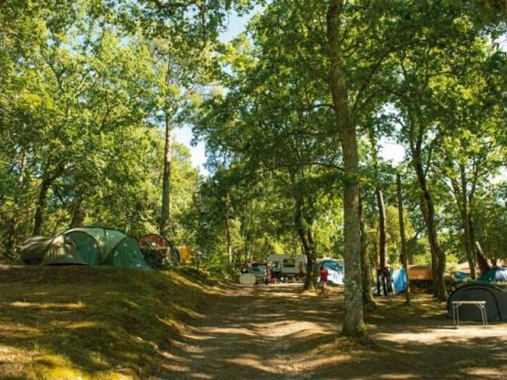 Standplaats  zonder elektriciteit + 1 voertuig + 1 tent of caravan -