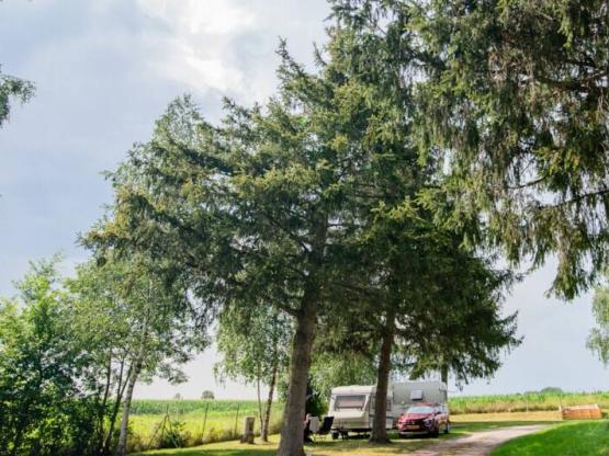 Forfait camping (standplaats, 2 personen, 1 voertuig)