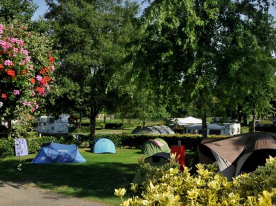 Standplaats +1 voertuig of camper -