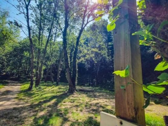 Pakketplaats 1 tent (max. 7x3m) (prijs op basis van 2 personen) Met elektriciteit. Geen voertuig op