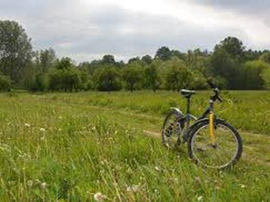 Kampeerplaats (Fiets)