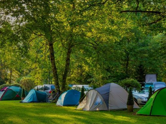 Pakket standplaats 1 tot 2 personen + 1 auto + elektriciteit