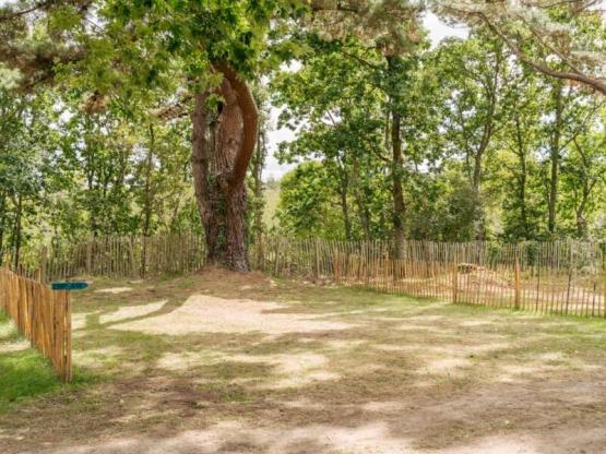 Natuurpakket (1 tent, caravan of camper / 1 auto)