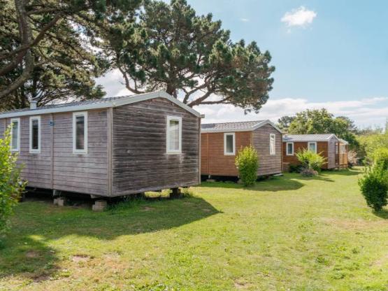 Standard Wooden Mobile Home 24m² - 2 bedrooms + TV + Integrated Terrace 7m²
