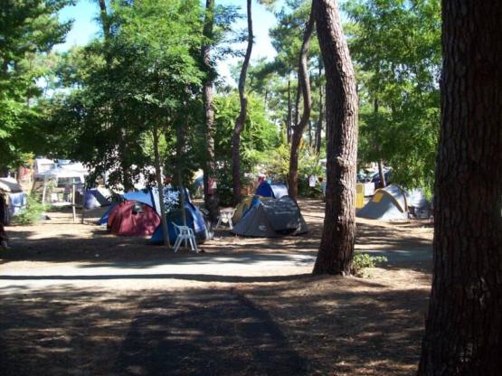 Standplaats CONFORT +