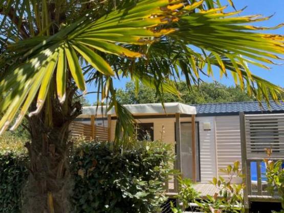 Mobilheim PREMIUM GARDEN klimatisiert - 3 Schlafzimmer (Jahr 2023)