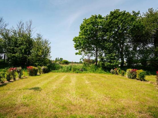 Grote tent of bestelwagen plaatsen
