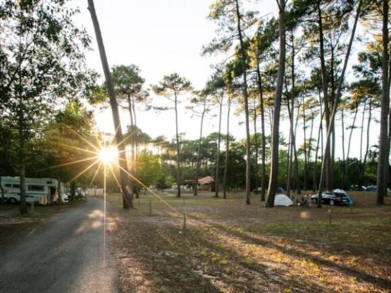 Grote tent of bestelwagen plaatsen