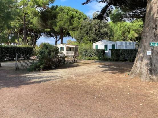 Camping pitch for tent / van