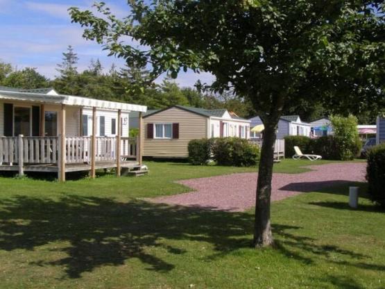 Early  booking + Gift