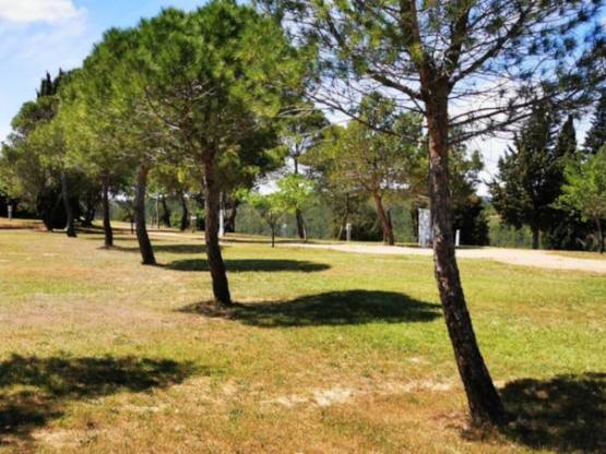 Forfait camping (emplacement + 1 véhicule)