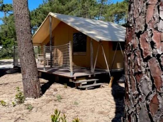 Lodge met (eigen) sanitair -  Voetgangersbuurt