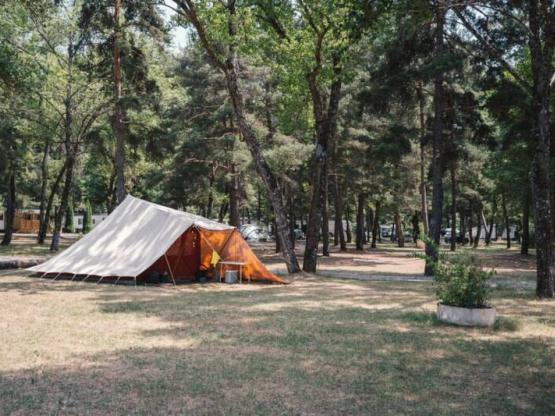 Evasion Bosrijk