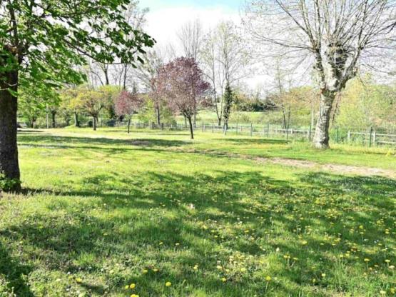 Basisprijs Comfortplaats - 1 voertuig