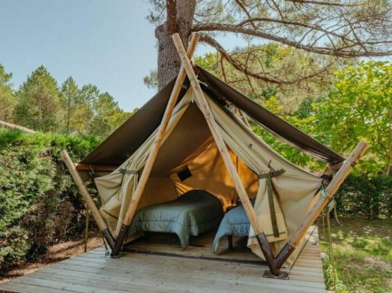 Nieuw voor 2025! Ecolodge -