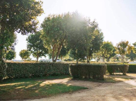 Gestabiliseerde standplaats voor 2 personen en elektriciteit