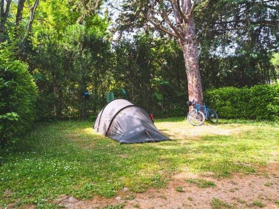 Confort Standplaats medium voor Tent/busjes < 5m  (met elektriciteit)