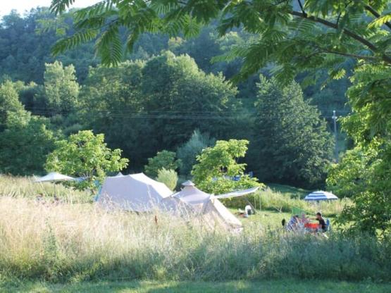 Standplaatsen voor kleine campers en caravans (max. 6 m. incl. dissel) en tenten