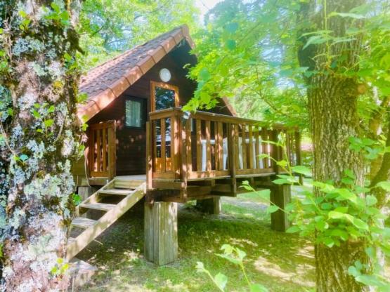 Chalet Sunflower Standard 18 m² - 1 slaapkamer  + onoverdekt terras van 9 m²