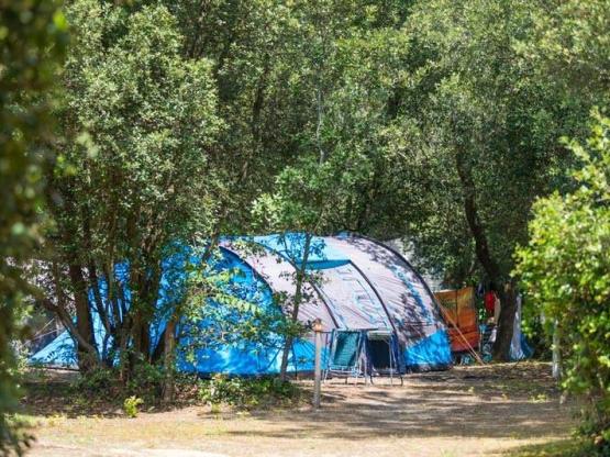 Plaats voor tent alleen met elektriciteit - voetgangers toegang / D