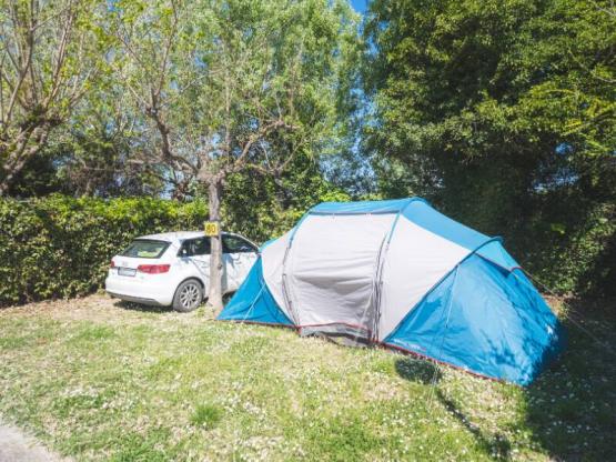 Confort Standplaats Medium voor tent/busje <5m (met elektriciteit)