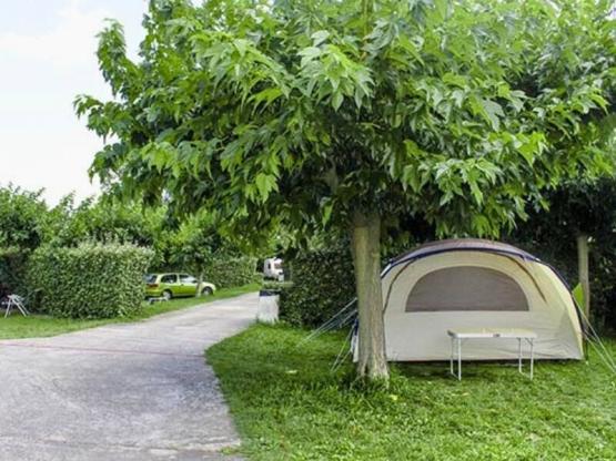 Confort Standplaats Small voor tent (met elektriciteit)