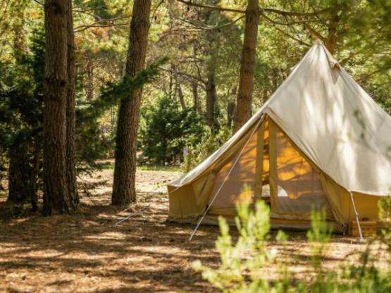 GROOT KAMP: Tentplaats