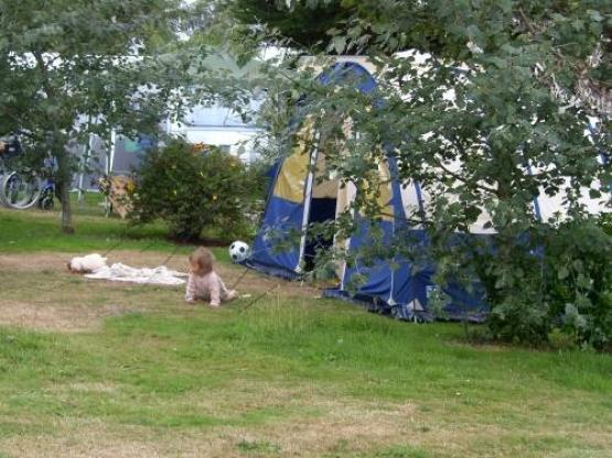 Kampeerplaats + Voertuig