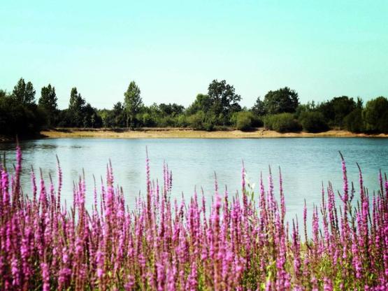 Otello Duo Espace 2 badkamers Premium