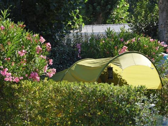 Kampeerplaats Confort Gezin