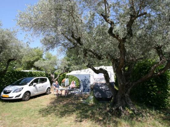 Kampeerplaats Comfort 100m²