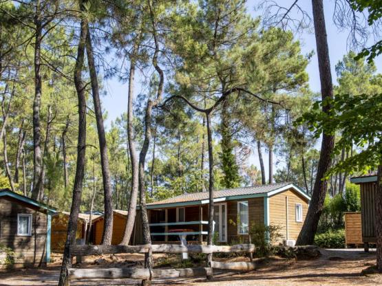 Chalet MIMOSA - 2 kamers