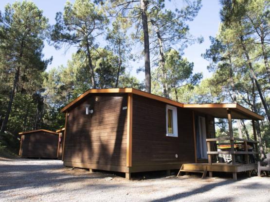 Chalet BRUYERE - 2 kamers