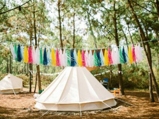 SAFARI : Tentplaats + Elektriciteit