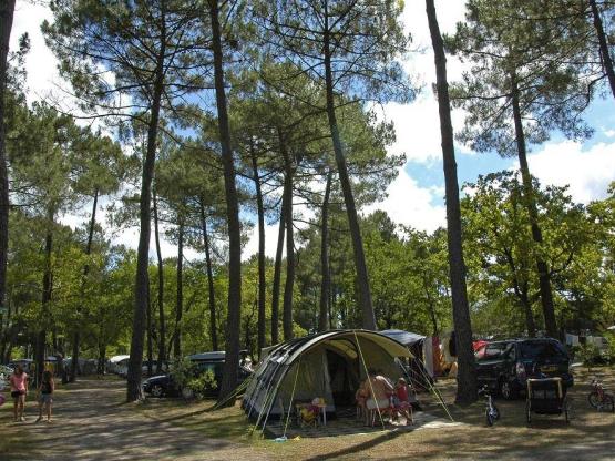 Stellplatz = ZELT+ 1 Auto oder WOHNWAGEN + 1 Auto oder VAN ohne Abwasserentsorgung + Strom 10 AMP*